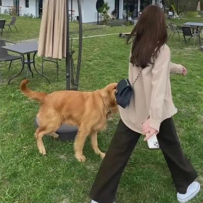 妖姬莎塔